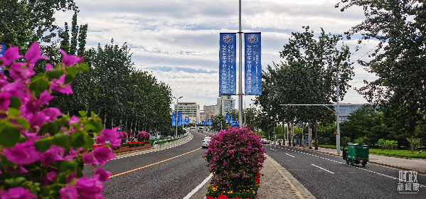 时政新闻眼丨“中非时间”开启 习近平同多国元首宣布双边关系新定位