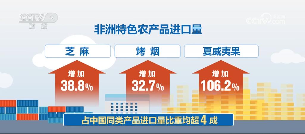 从不足1000亿元到1.98万亿元 多组数据见证中非贸易持续繁荣