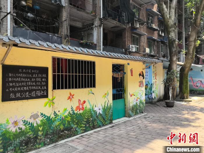 （身边的变化）重庆沙坪坝激发青年活力 “城市改造师”助力城市有机更新