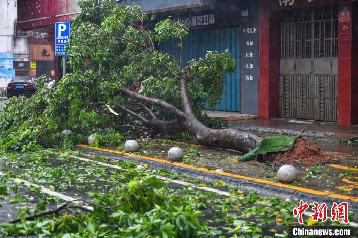 超强台风“摩羯”袭击海南：楼房明显晃动 小车被风掀翻