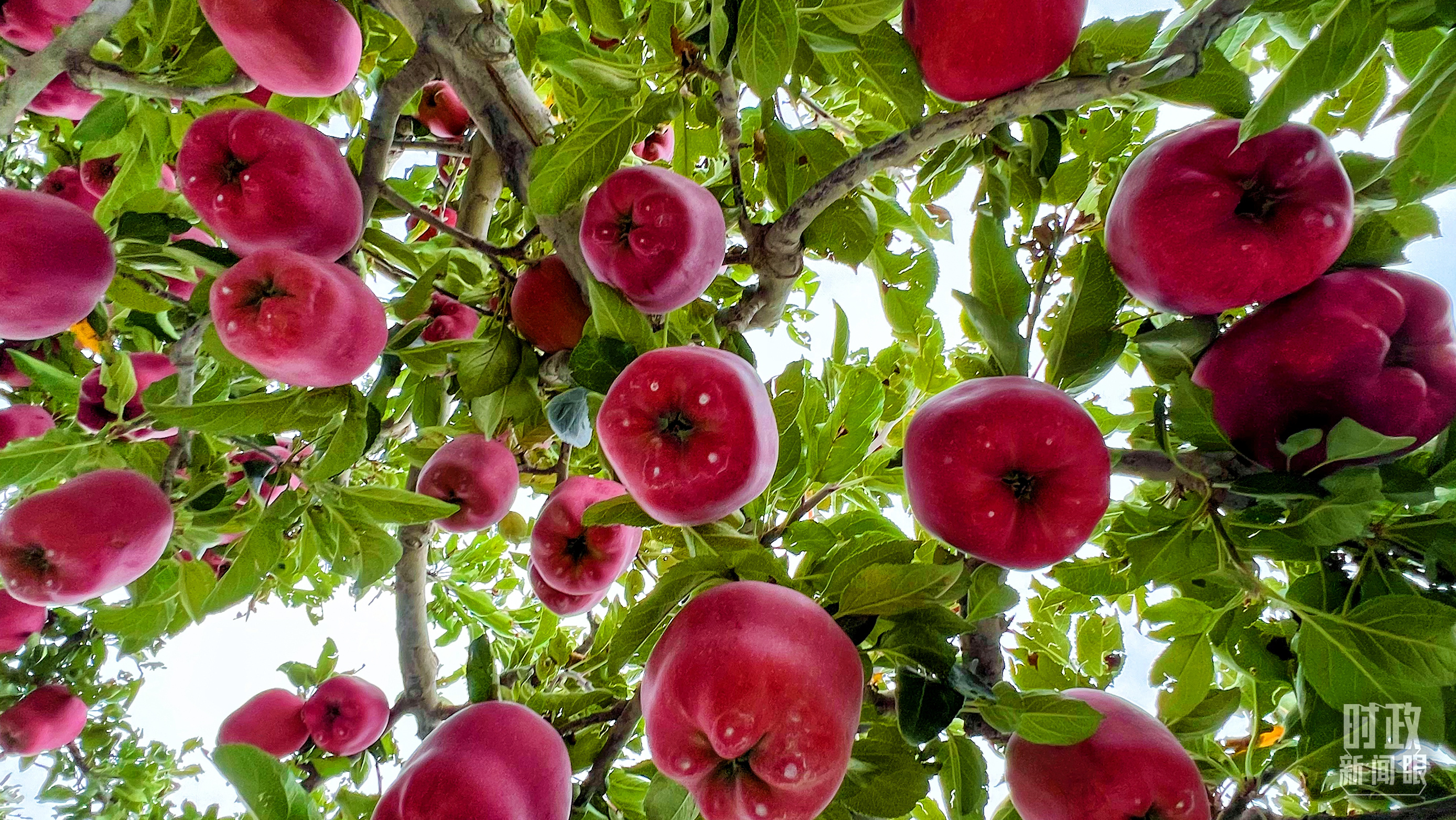 时政新闻眼丨三中全会后首次考察，习近平来到这两座西部名城