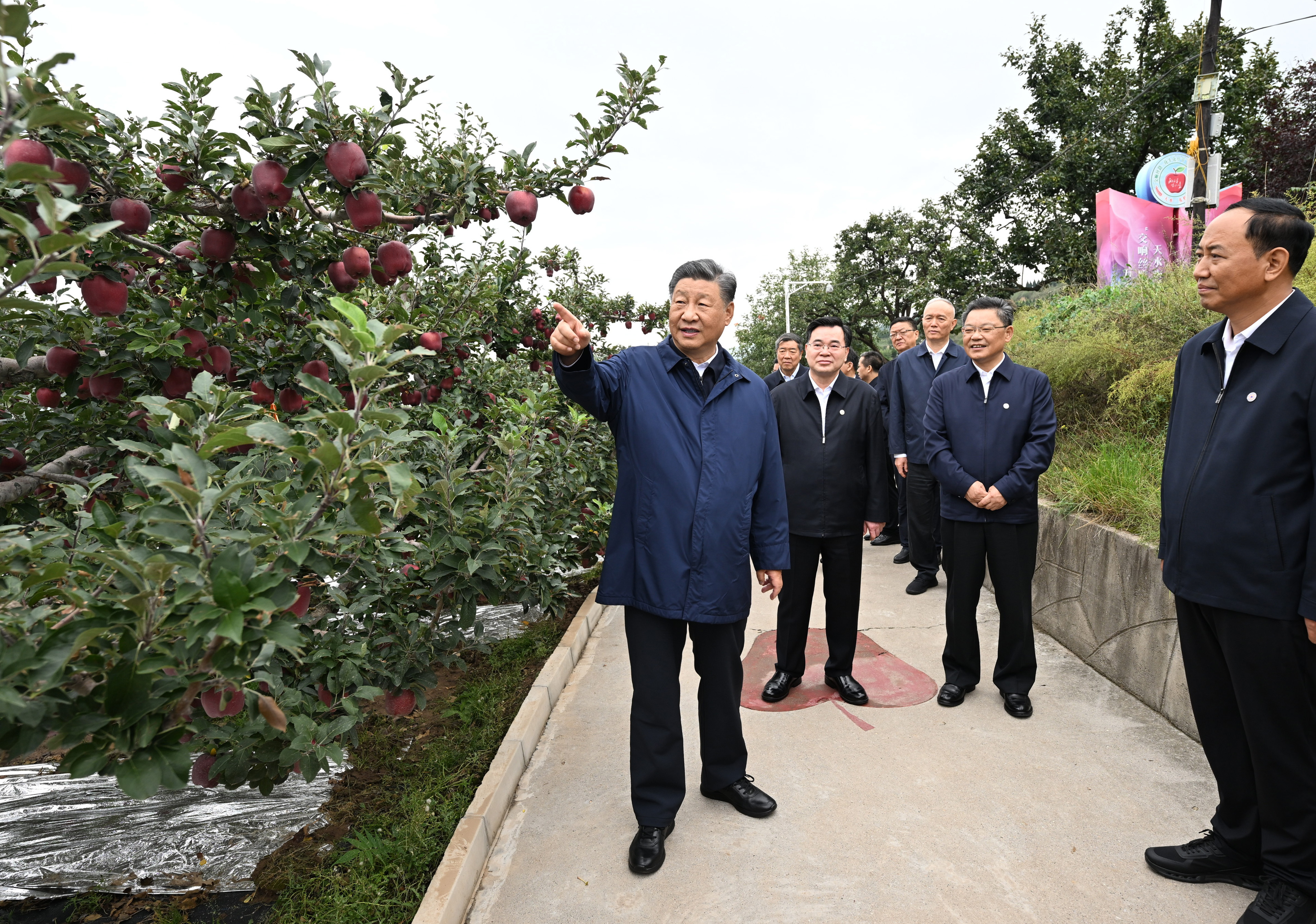 总书记刚刚来过这里丨发展特色现代山地果业，日子越过越红火