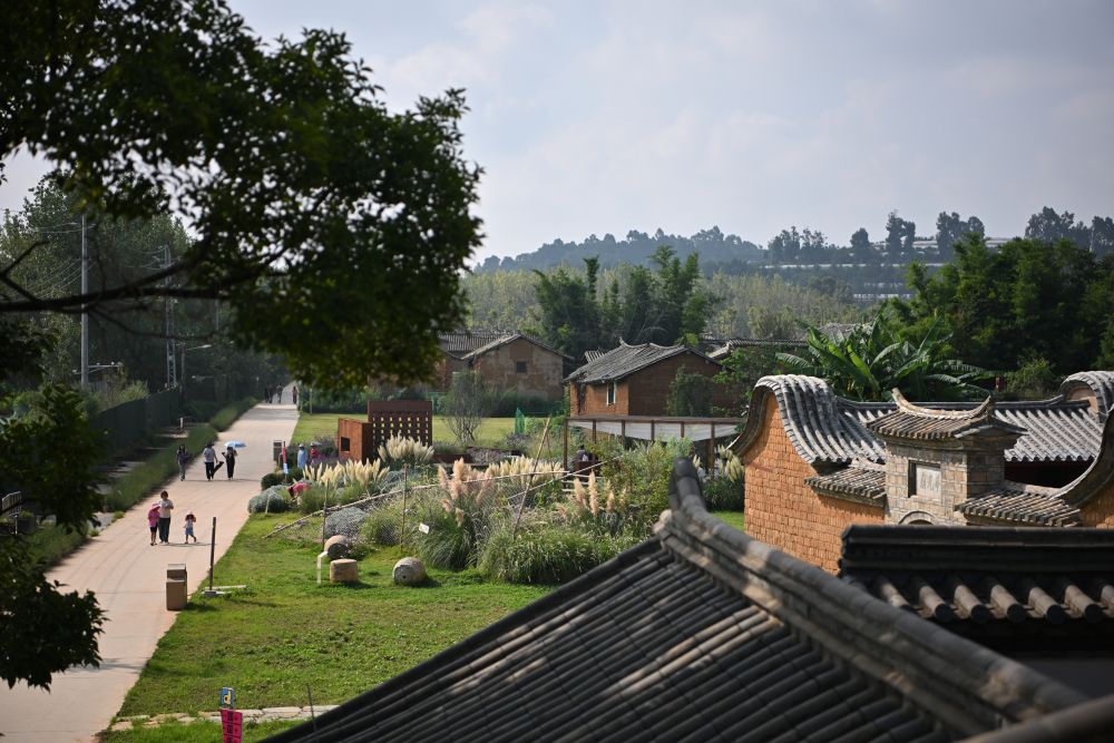 又是一年好“丰”景 满载希望迈向农业强国