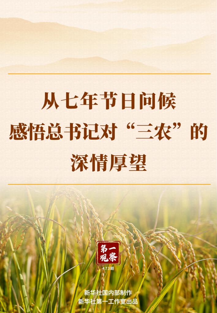 第一观察 | 从七年节日问候感悟总书记对“三农”的深情厚望