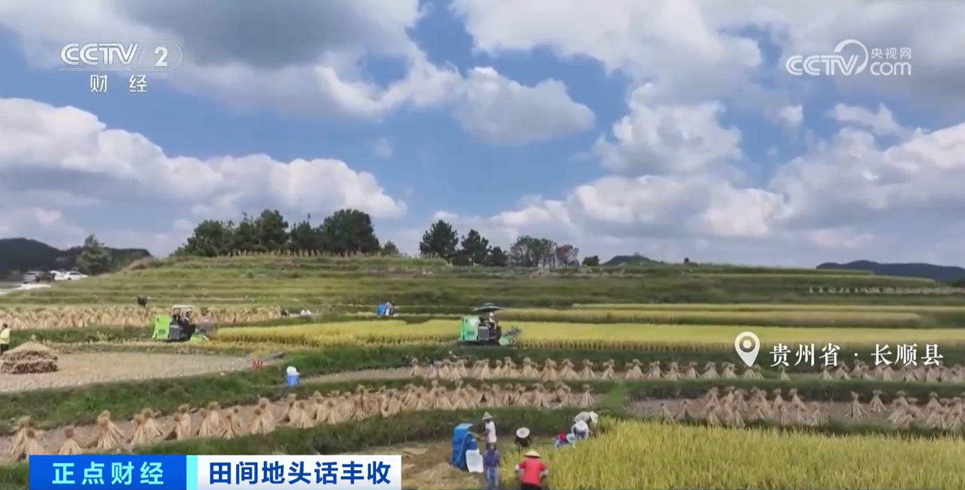 秋收正当时！新质生产力赋能农业生产 绘就金秋好“丰”景