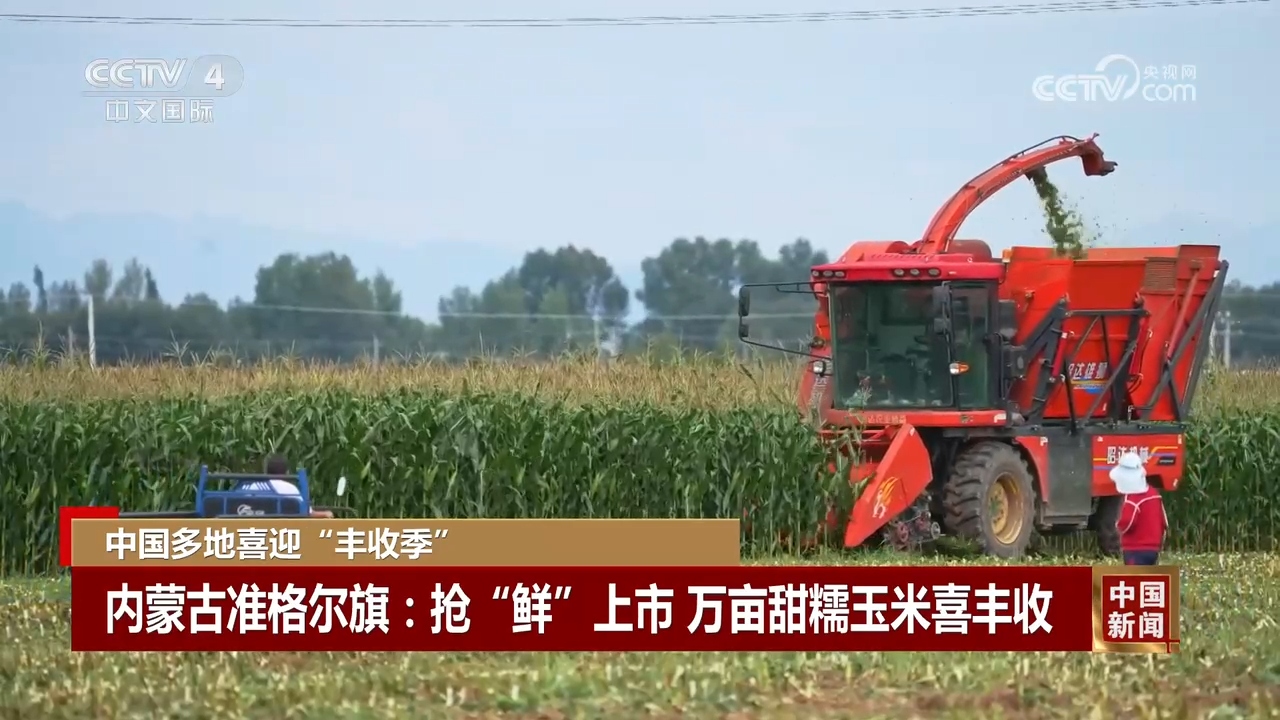 金秋时节处处好“丰”景 中国多地喜迎“丰充季”