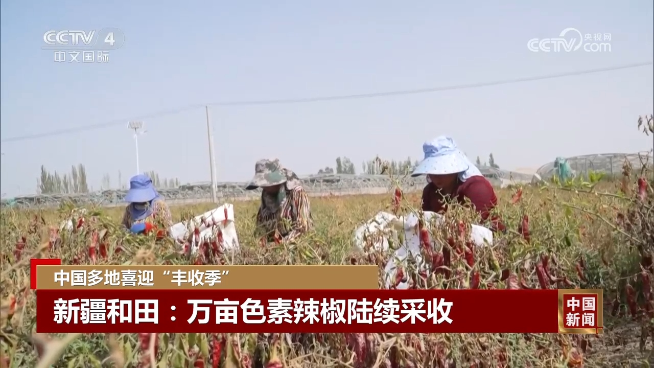 金秋时节处处好“丰”景 中国多地喜迎“丰充季”