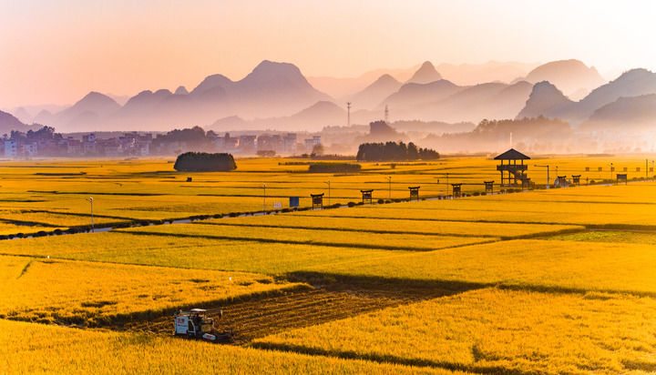 新华深读|十个维度给新一轮中部崛起画像 新华深读|十个维度给新一轮中部崛起画像