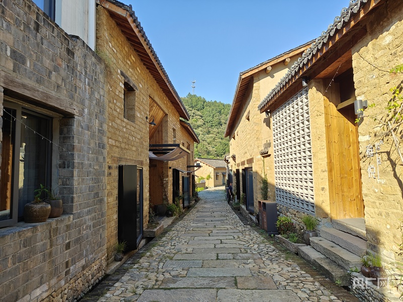 千里跃进大别山｜金寨县丁埠村：昔日深山里，今朝“桃花源”