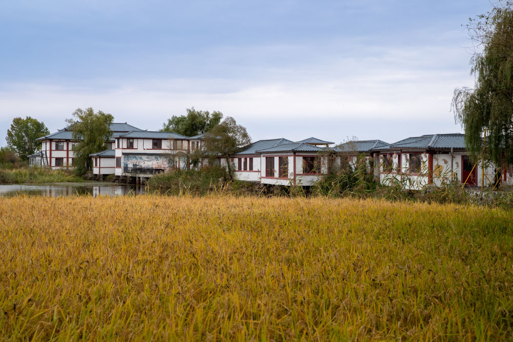 文化中国行·传统村落人文影像志｜黑龙江上官地村——一个建在火山岩上的“稻田村”