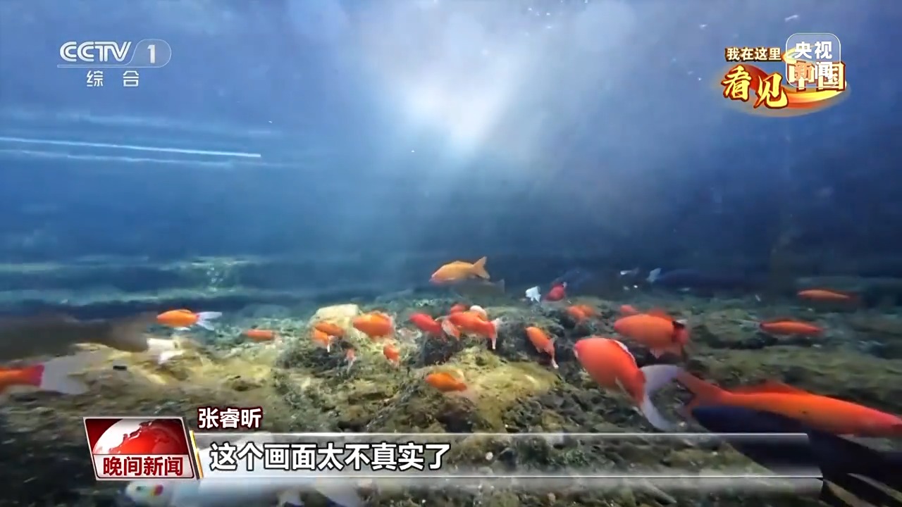我在这里看见中国丨走遍名山大川 他用镜头记录这片土地的美
