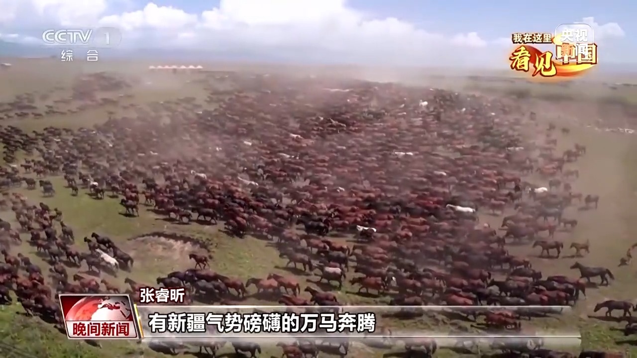 我在这里看见中国丨走遍名山大川 他用镜头记录这片土地的美