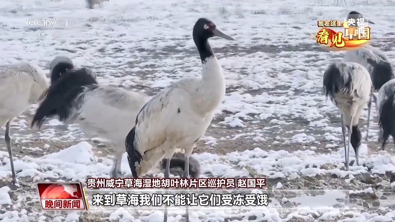 我在这里看见中国丨走遍名山大川 他用镜头记录这片土地的美