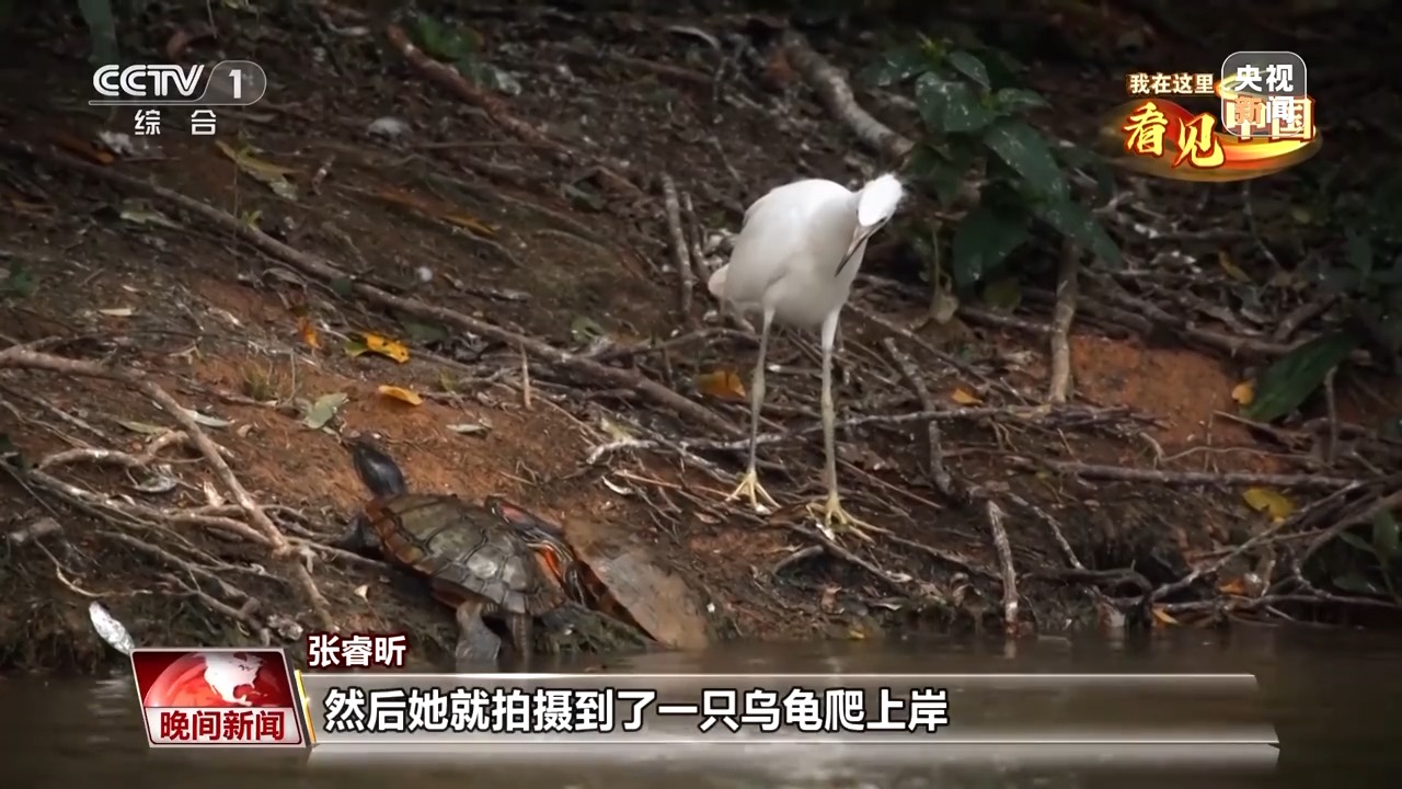 我在这里看见中国丨走遍名山大川 他用镜头记录这片土地的美