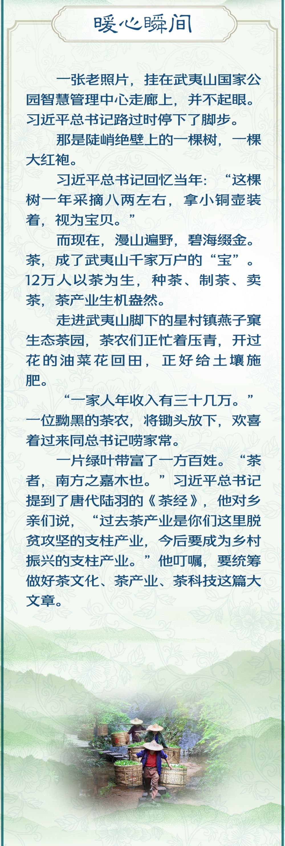 学习新语·非遗｜“要统筹做好茶文化、茶产业、茶科技这篇大文章”