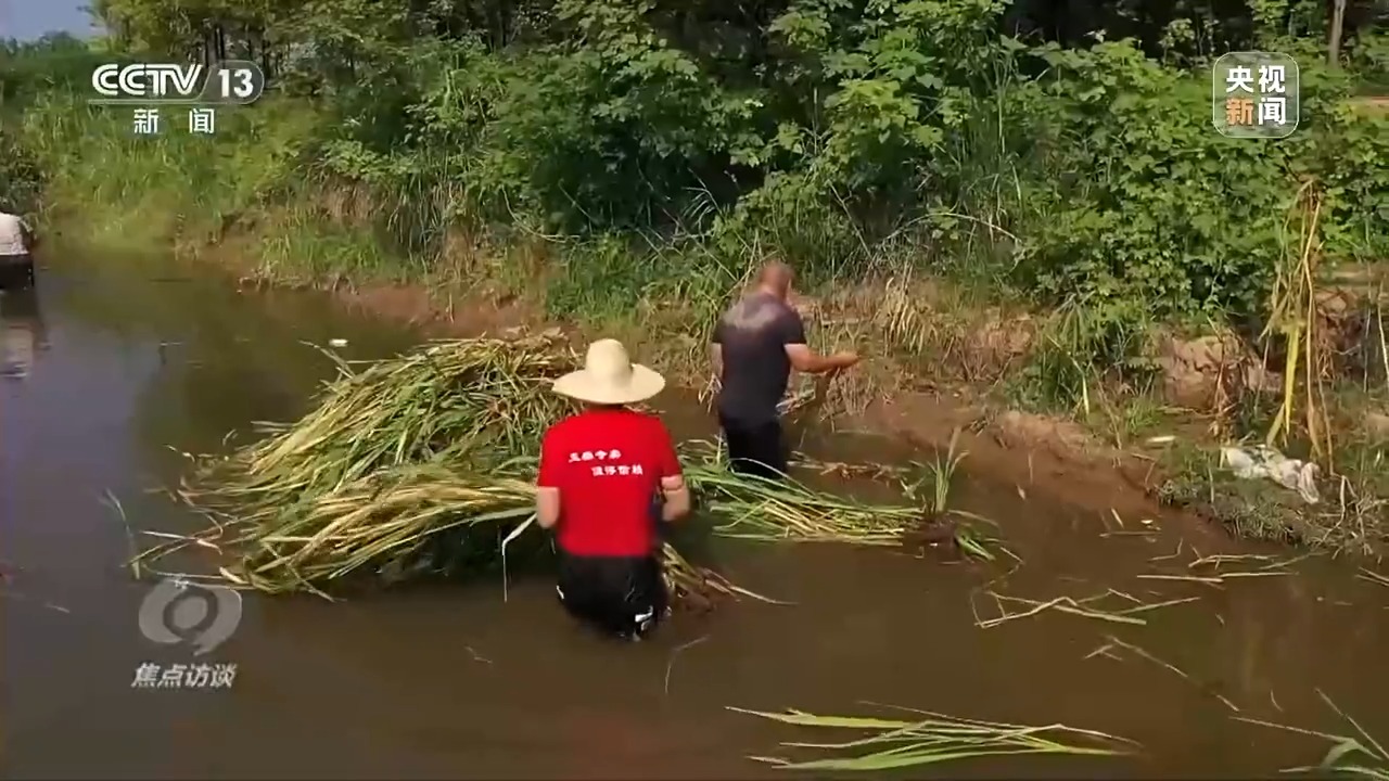 焦点访谈丨从“劣Ⅴ类”到美丽湖泊 解锁大通湖“蝶变”密码