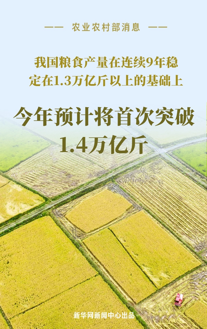 预计将首次突破1.4万亿斤！数据看“大国粮仓”的底气