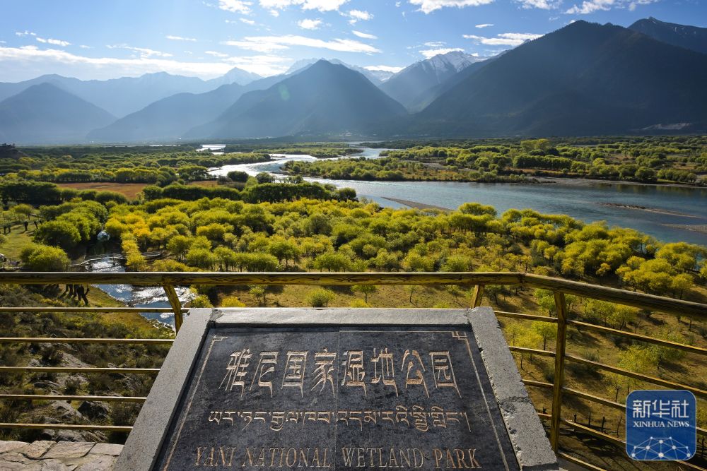 新时代中国调研行之看区域·西部篇｜西藏林芝：加强生态保护 维护湿地健康