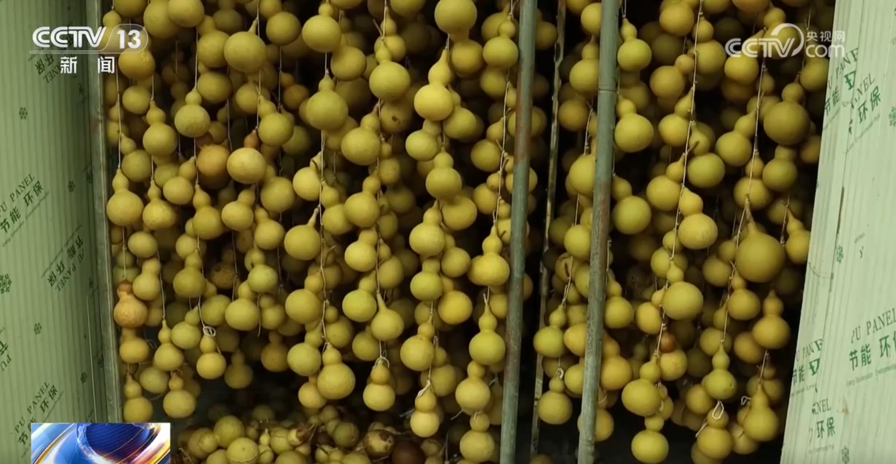 免费培训、灵活就业、定点帮扶 “稳就业”促增收 切实增进民生福祉 免费培训、灵活就业、定点帮扶 “稳就业”促增收 切实增进民生福祉