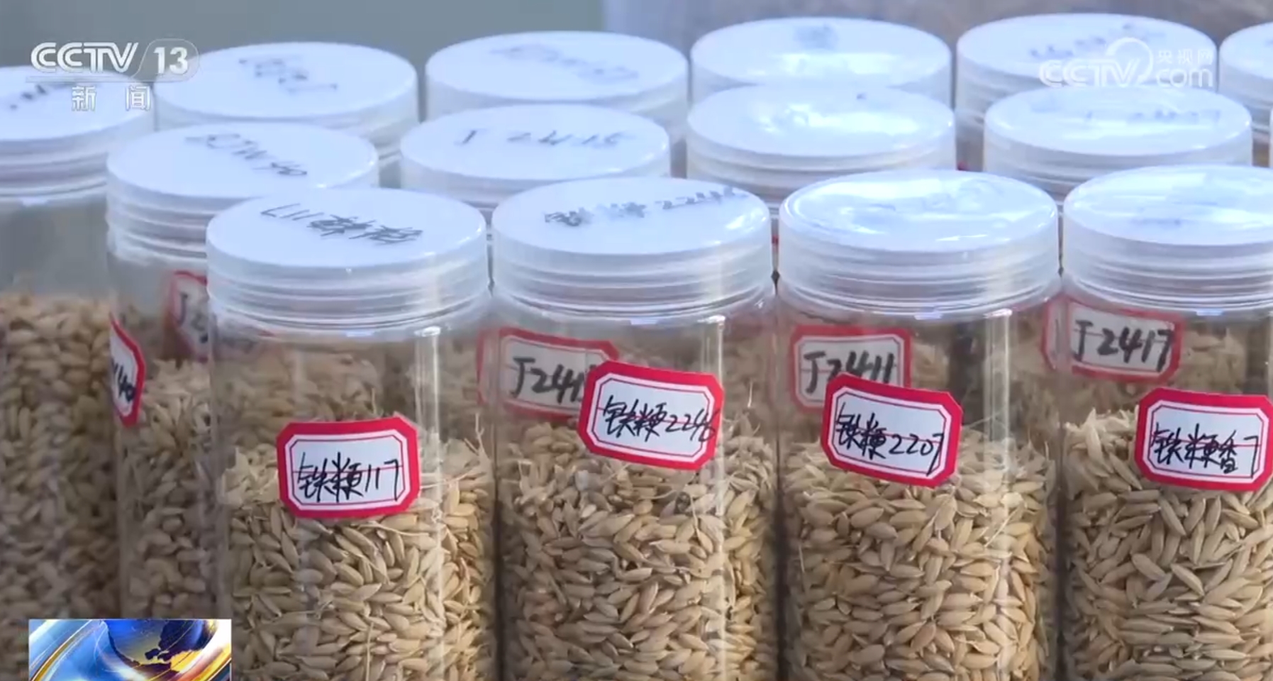 良种、良法、良机护航 在田野好“丰”光里看农业发展“未来式”