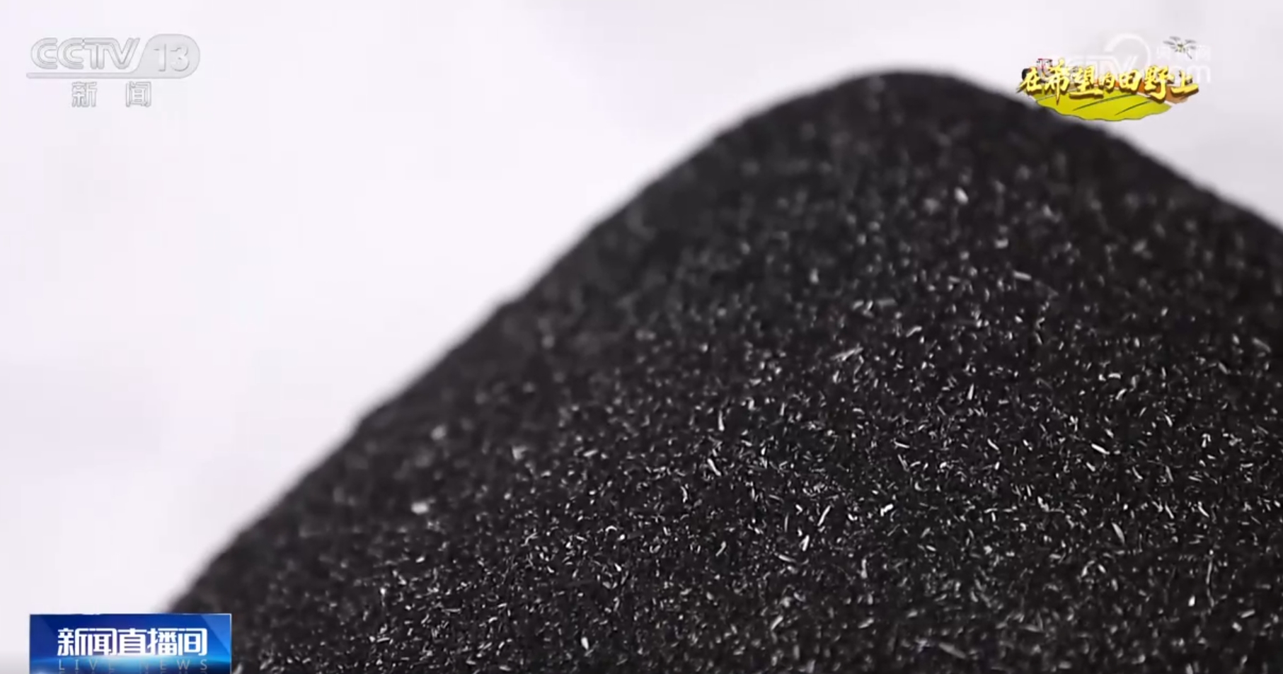 良种、良法、良机护航 在田野好“丰”光里看农业发展“未来式”