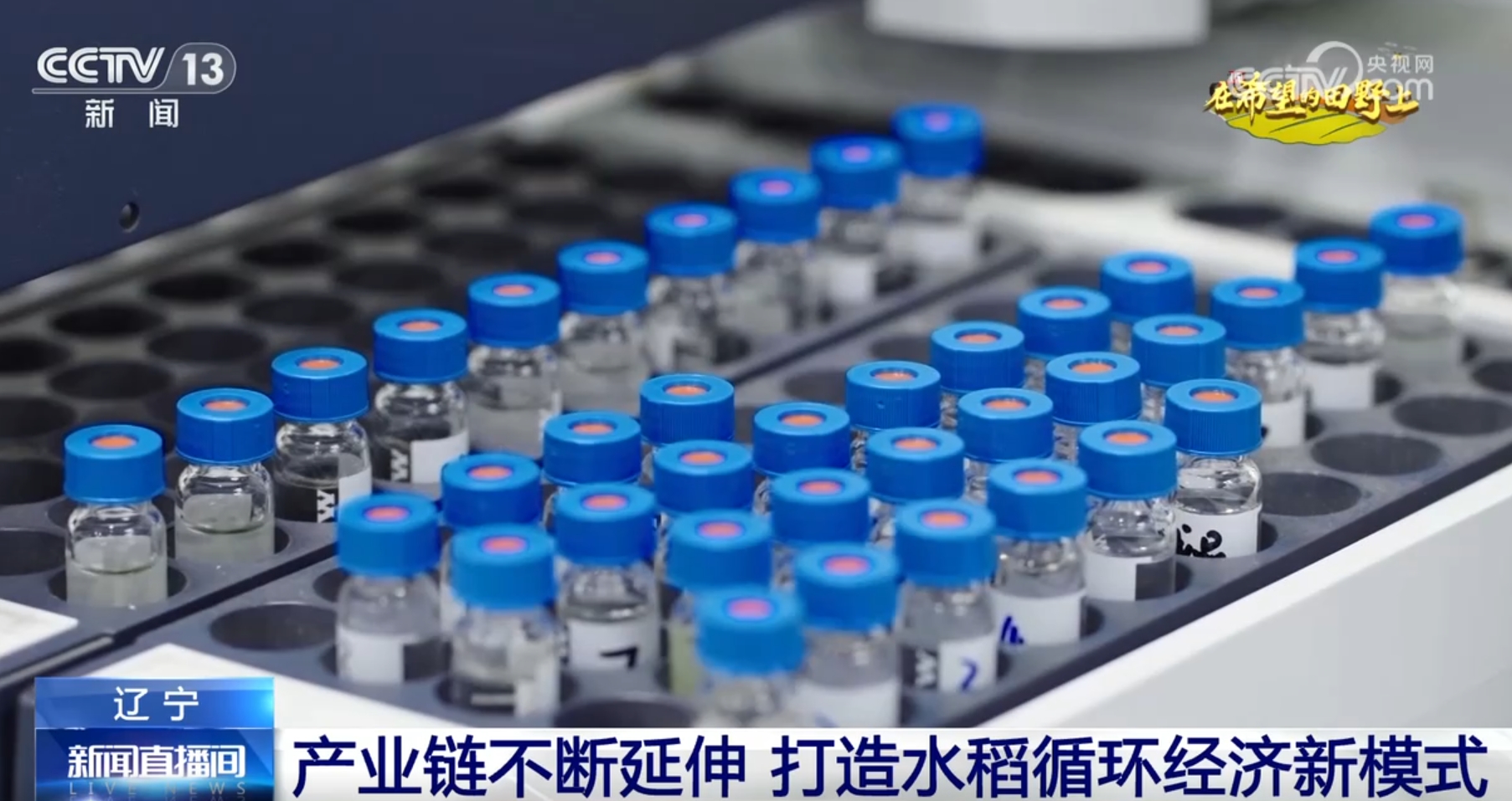 良种、良法、良机护航 在田野好“丰”光里看农业发展“未来式”