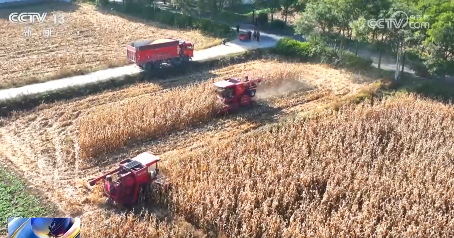 良种、良法、良机护航 在田野好“丰”光里看农业发展“未来式”
