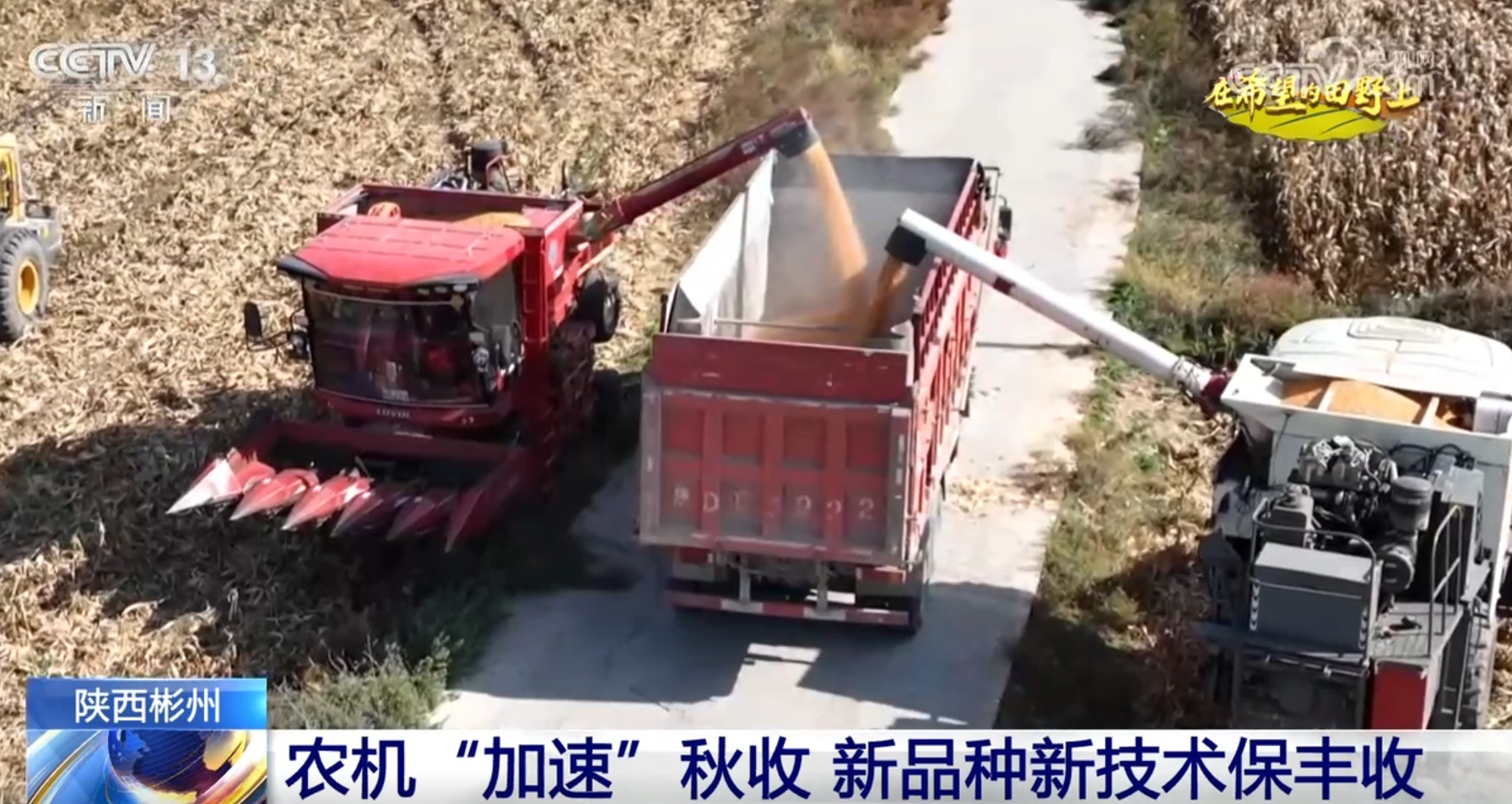 良种、良法、良机护航 在田野好“丰”光里看农业发展“未来式”