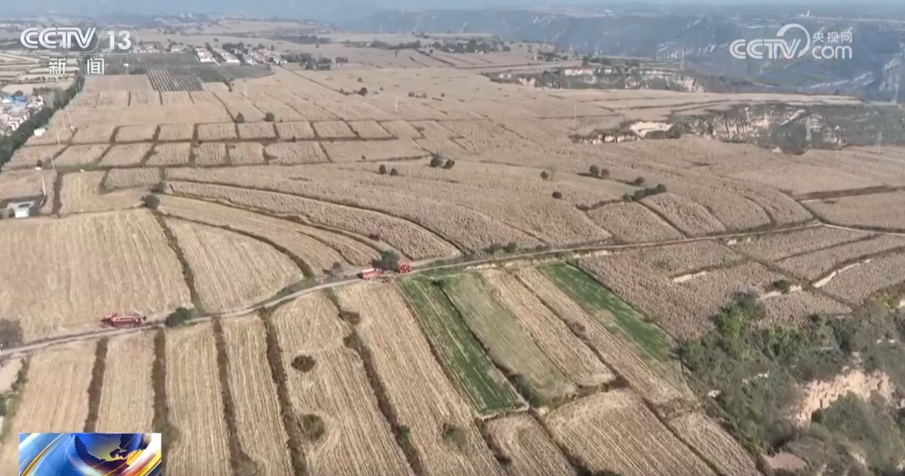 良种、良法、良机护航 在田野好“丰”光里看农业发展“未来式”