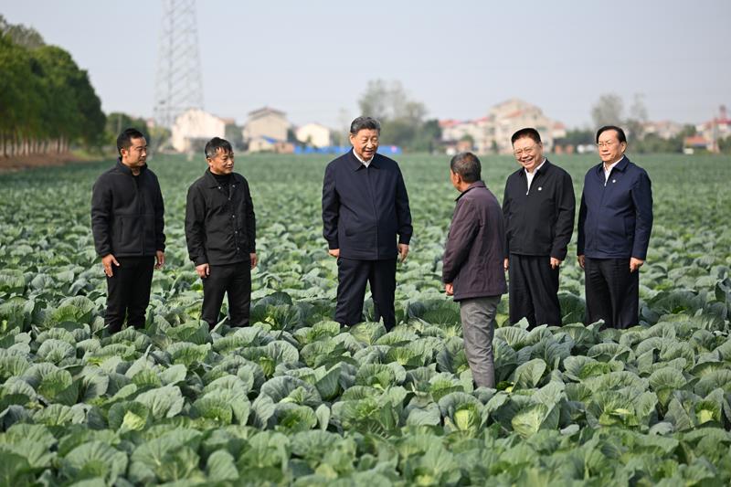 时政微观察丨从乡村到城市，总书记都强调了这个关键词