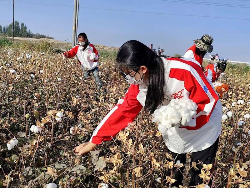 从地理题中打开新疆，咋还边做题边流口水呢？