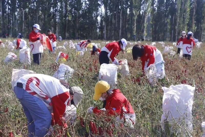 从地理题中打开新疆，咋还边做题边流口水呢？