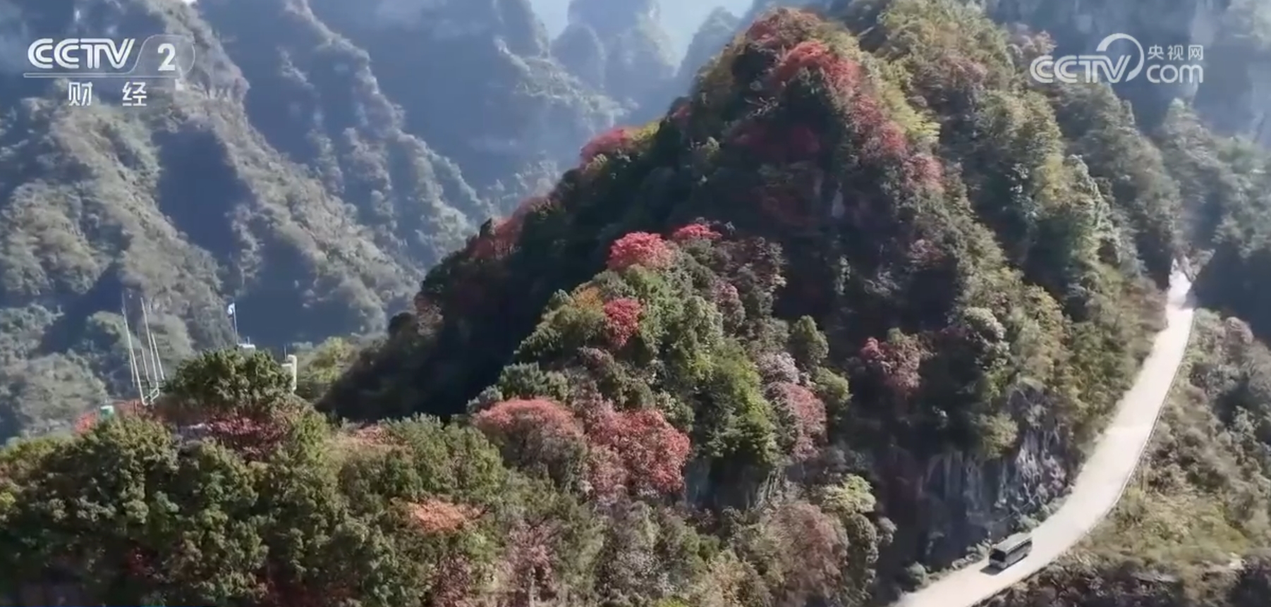 错峰游、“彩林游”持续保持高人气 中国旅游市场“淡季不淡”尽显生机活力