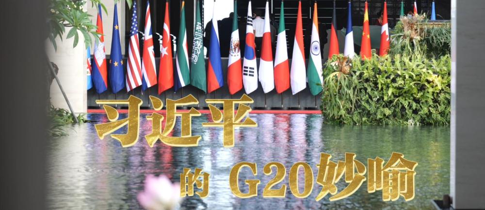 习近平的G20妙喻