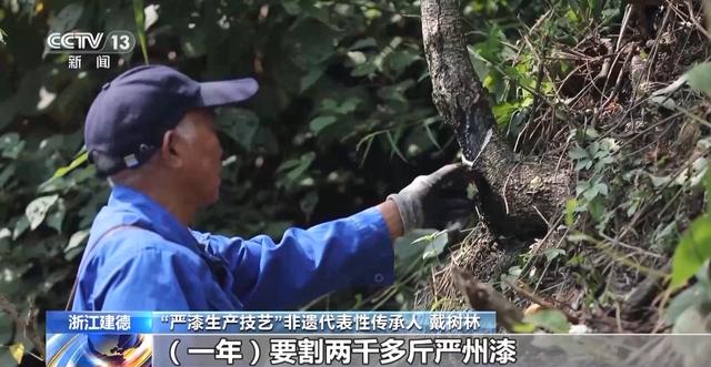 文化中国行丨非遗的现代“漆”迹 严漆重绽家居新魅力