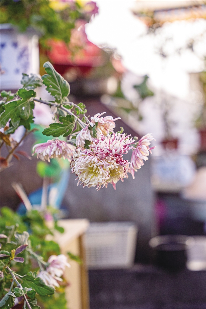 要么不看错位要么停不下来