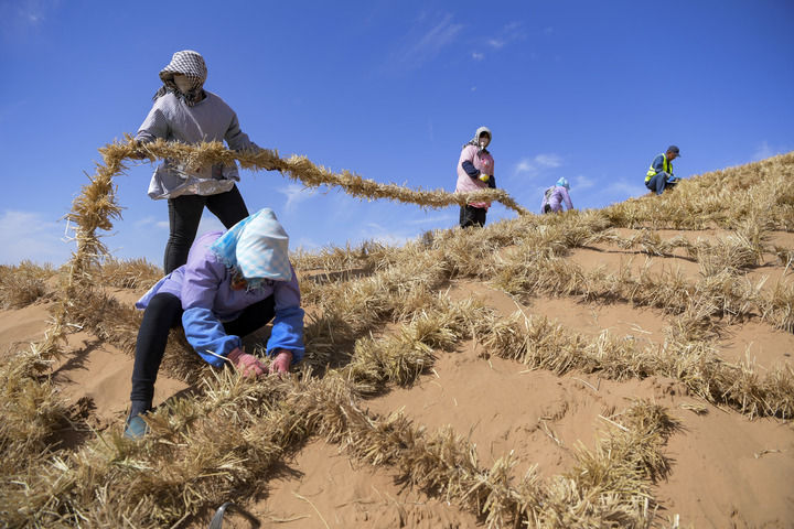 锦绣大地满目新——西部地区乡村振兴观察