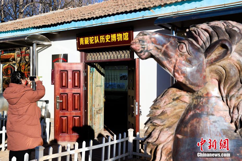 莫河驼场：见证青藏公路70年沧桑巨变