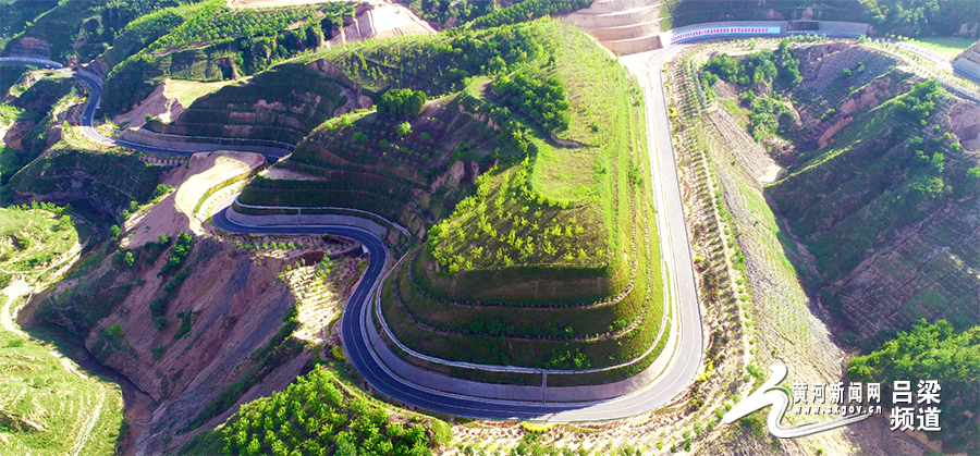 万里山河路 | 黄河岸边的金色画卷