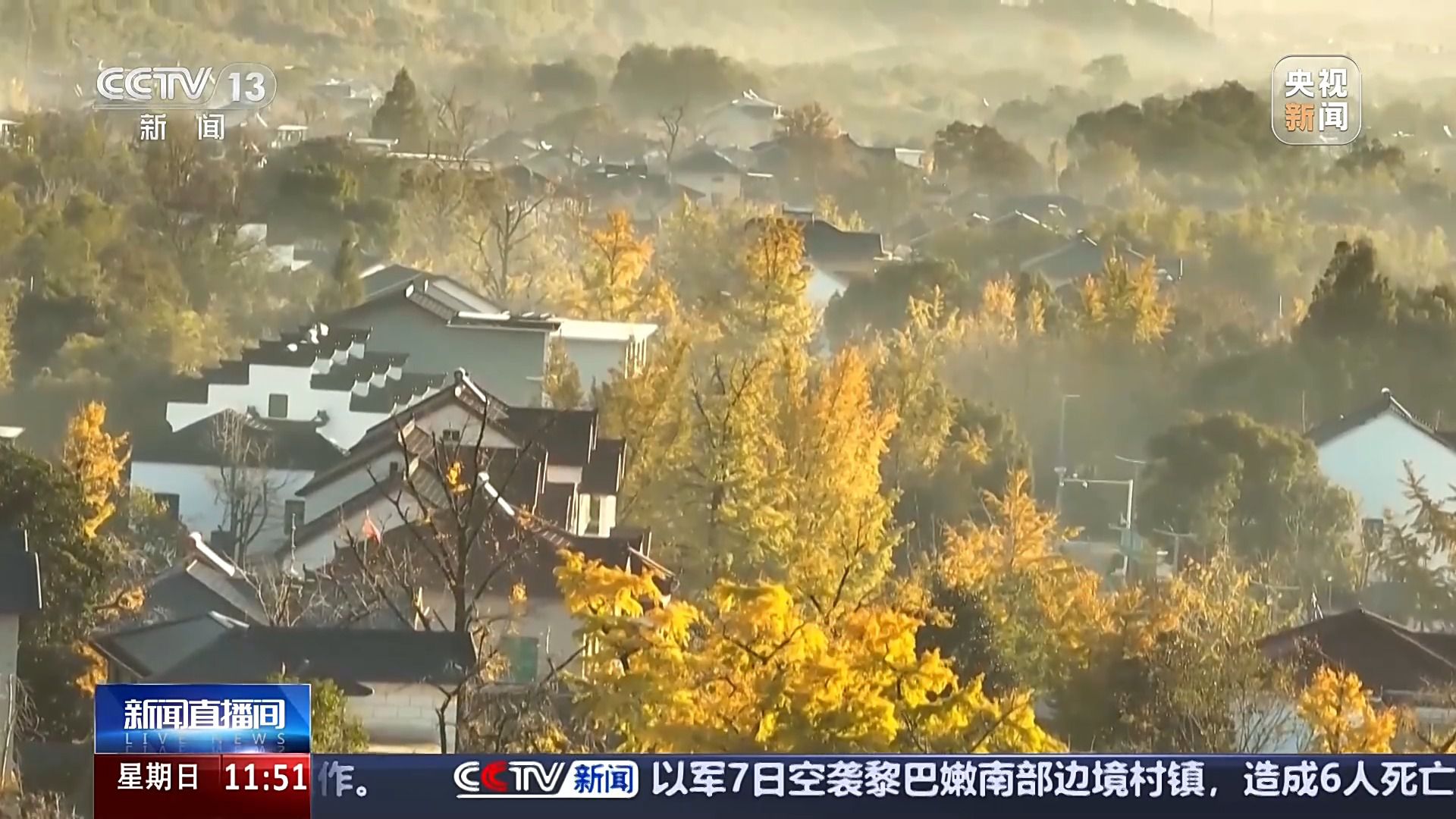 落叶也能“生花” 它们的再生之旅还有这些奇遇