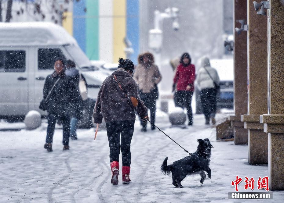 冷空气来袭 新疆多地迎来新一轮降雪天气