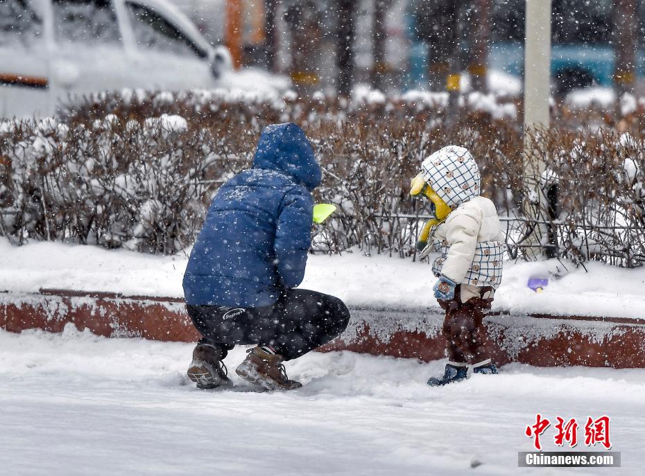 冷空气来袭 新疆多地迎来新一轮降雪天气