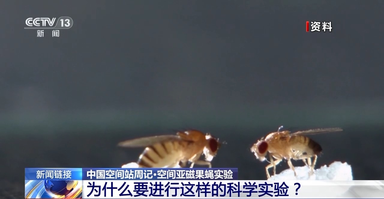 “智能管家”有何妙用？来看神十九乘组周记