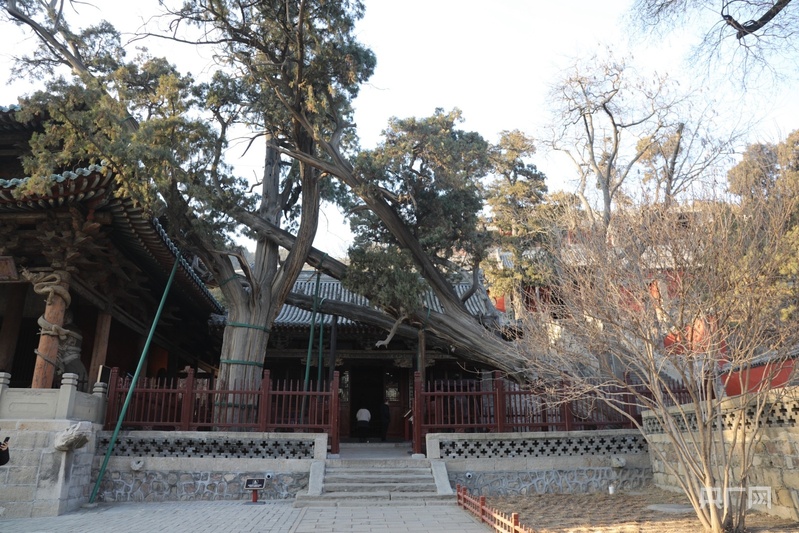 万里山河路 | “三绝 三宝 三匾” 领略三千年晋祠魅力