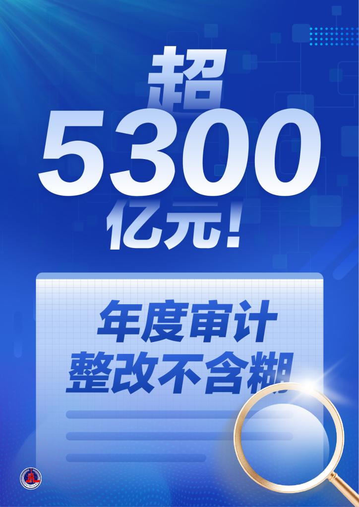 超5300亿元！年度审计整改不含糊