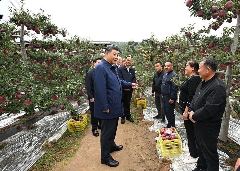 时政微观察丨新年贺词里的家国情