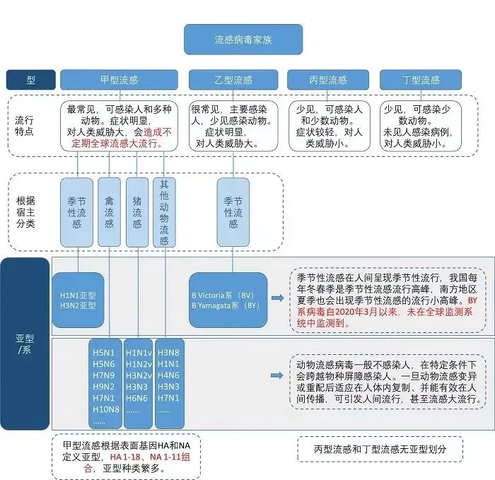 阳性率持续上升，99%以上为甲流！多地紧急提醒