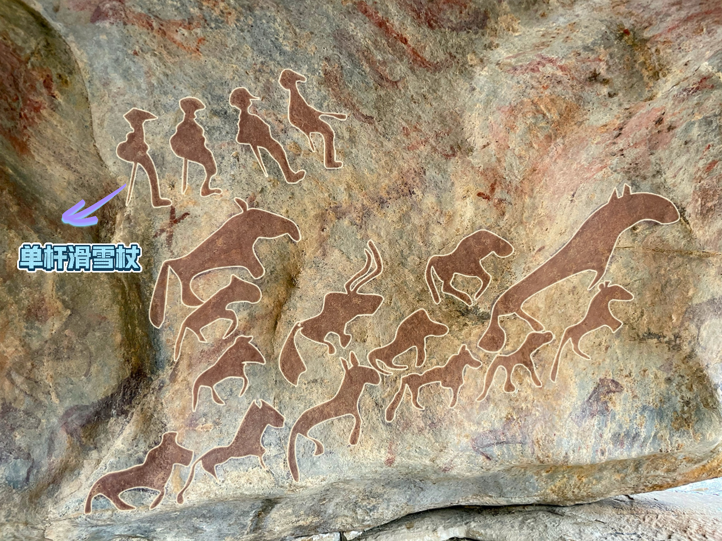 文博日历丨一万多年前,古人已经在“你的阿勒泰”滑雪了