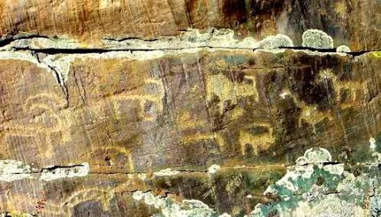 文博日历丨一万多年前,古人已经在“你的阿勒泰”滑雪了