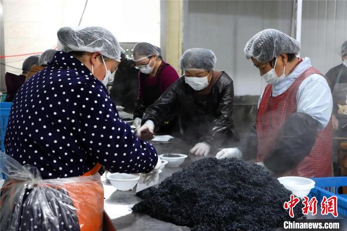 （新春走基层）浙江金华：乌饭八宝饭里的非遗年味